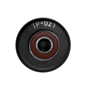 TP-021