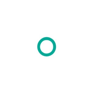 #10 GM Captured Fitting O-ring