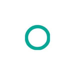 #12 GM Dual Fitting O-ring