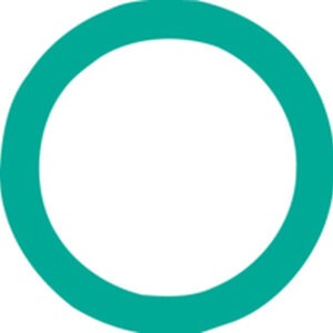 O-ring for Diesel Kiki 4232