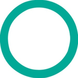 O-ring Suction Port 4235